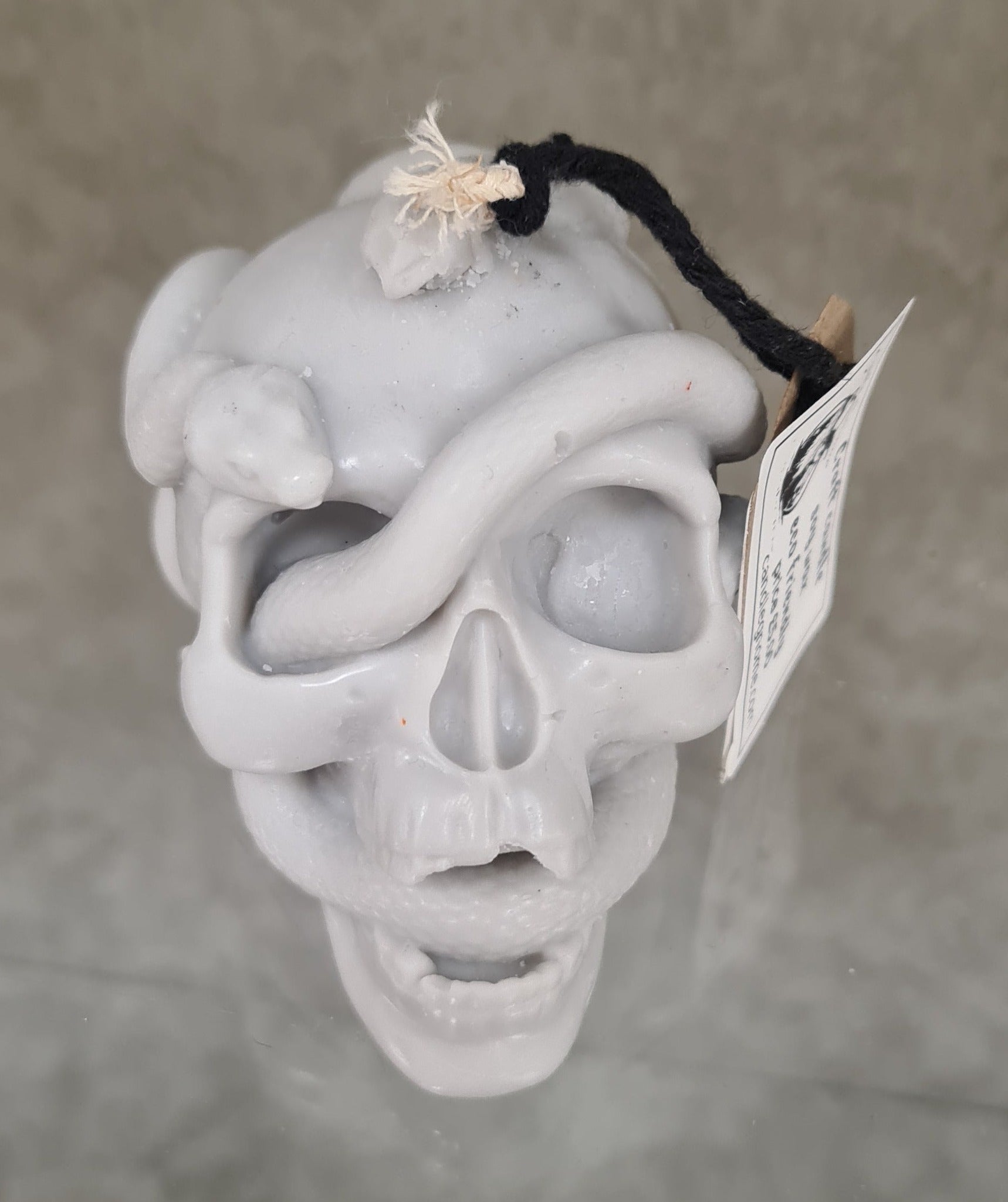 Close-up view of Serpent's Embrace Skull Candle with a snake coiled around a beautifully crafted skull.